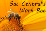 Sac Central Spring Work Bee