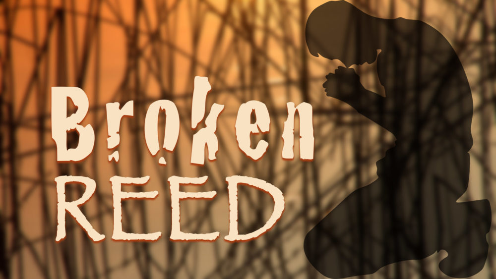 Broken Reed