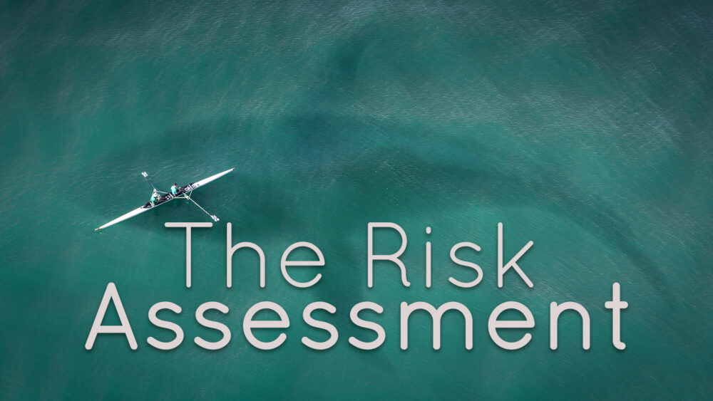 The Risk Assessment Image