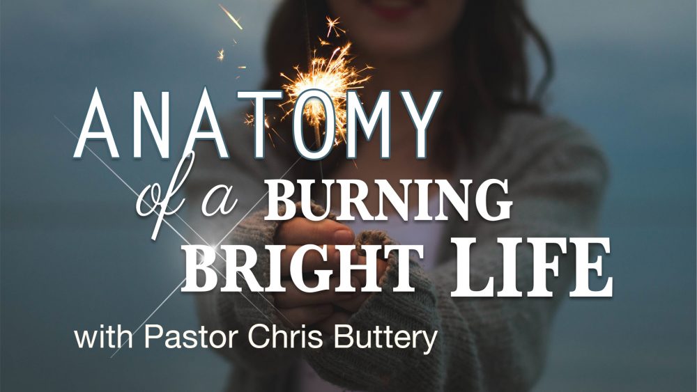 Anatomy Of A Burning Bright Life