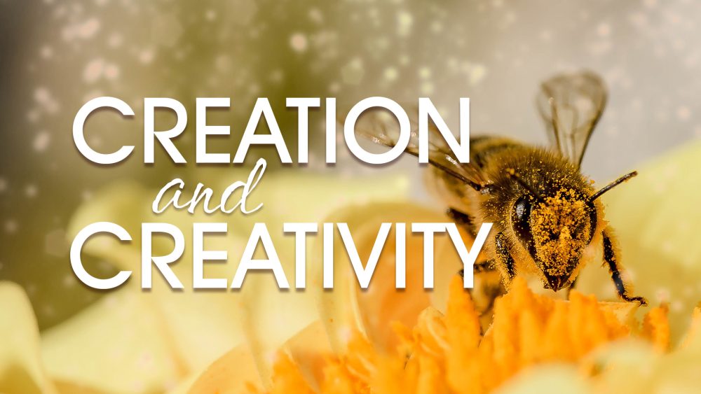 Creation and Creativity Image