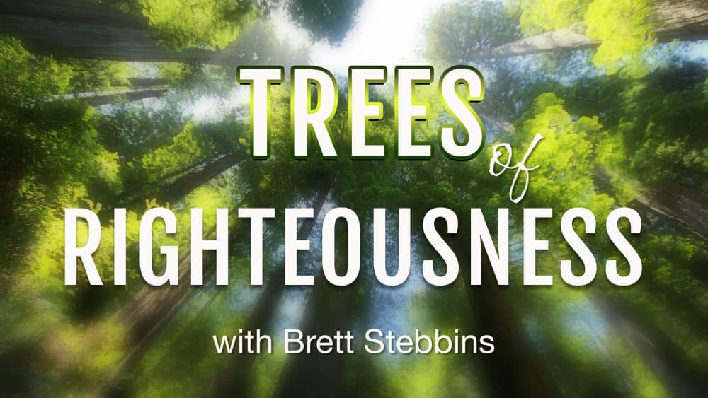 Trees of Righteousness Image