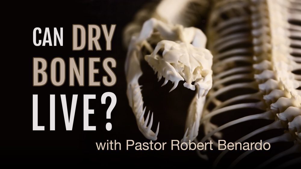 Can Dry Bones Live? Image