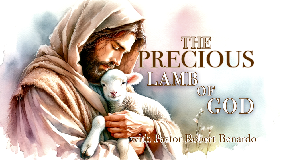 The Precious Lamb of God - Communion Homily Image